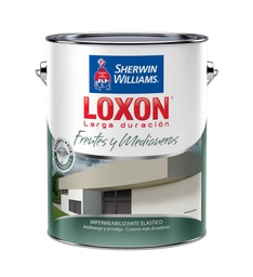 [83119001020] Loxon LD Frentes y Medianeras Elast blanco OUTLET x 20 lts.